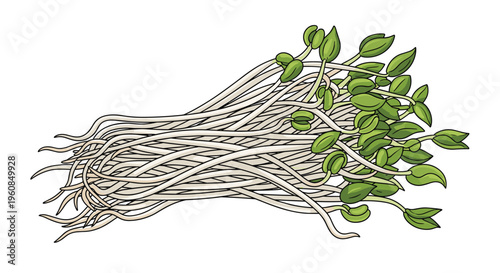 Fresh, organic soybean sprouts, rich in nutrients and ready for cooking, offer a healthy and crunchy addition to various culinary dishes.