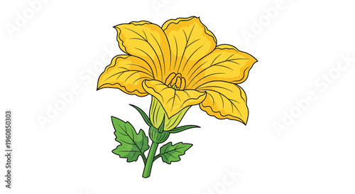 A beautiful and vibrant yellow zucchini flower, also known as a squash blossom, with green leaves, often considered a culinary delicacy.