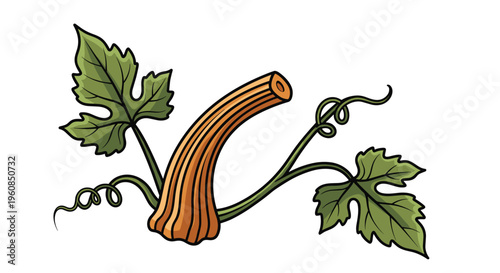 Pumpkin stem with curling tendrils and two prominent green leaves, representing autumn harvest, gardening, and the natural growth of gourds and squash.