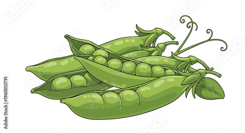 Pile of fresh green pea pods, with some opened to reveal plump peas inside, illustrating healthy legumes and wholesome, nutritious ingredients for cooking.