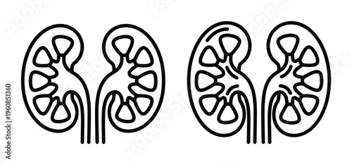 A set of two human kidney icons in a clean line art style. Perfect for medical, urology, or nephrology websites, infographics, and educational materials. Simple vector graphic.