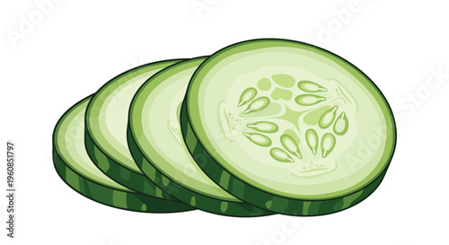 Four distinct slices of cucumber, featuring visible seeds and crisp green edges, perfect for fresh food, cooking, and healthy eating illustrations and recipe designs.