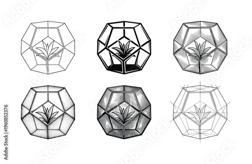 A set of six geometric terrarium icons with a plant. Vector illustrations in various graphic styles like line art, engraving, and dotwork. Perfect for logos or botanical design.