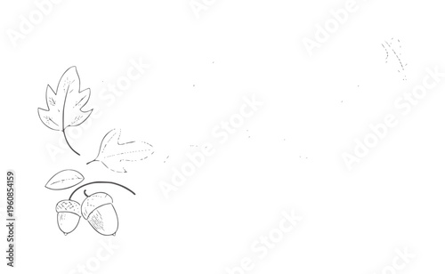 Minimalist black and white line of oak leaves and acorns