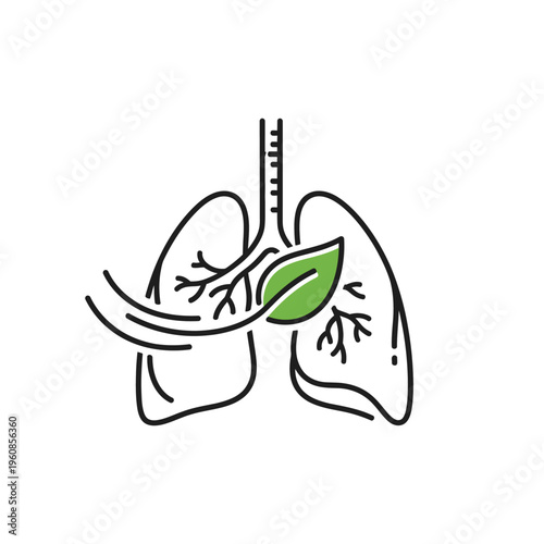 Healthy lungs with a green leaf representing fresh air and nature.