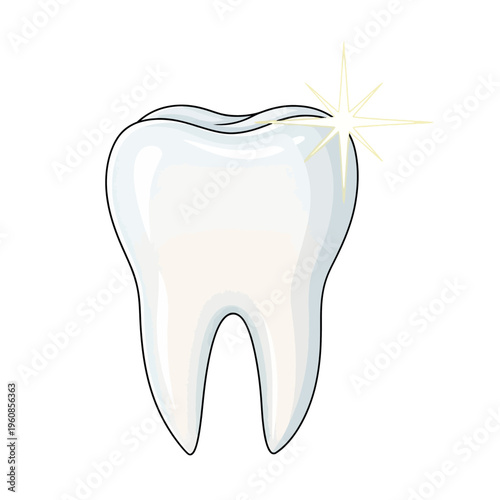 Shiny and healthy tooth isolated on a white background for dental care.