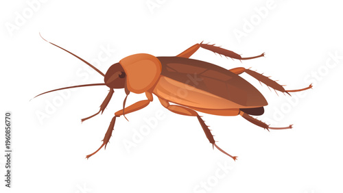 Cockroach Pest Insect Side View Isolated Hygiene and Pest Control Illustration