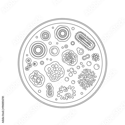 Black and white illustration of various microorganisms in a petri dish.