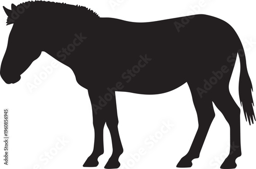 Black silhouette of a zebra standing isolated on a white background representing wildlife and safari concepts