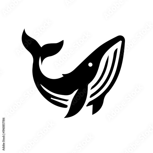 minimalist black and white whale silhouette vector illustration