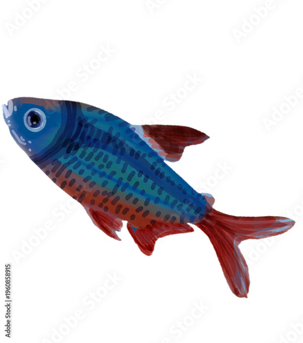 Fotografi Watercolor small blue tropical fish with red fins isolated