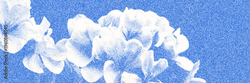 Blue cyanotype stipple dot overlay texture with flower silhouette. Delicate indigo nature banner for template and graphic design.