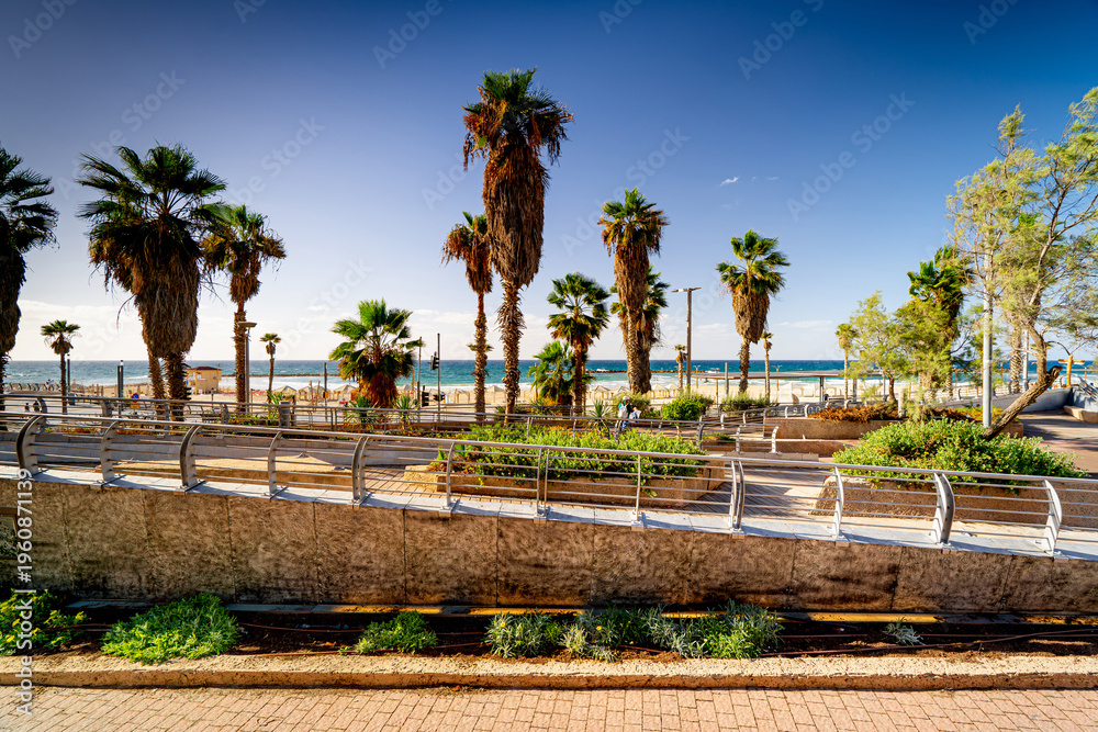 Fototapeta premium Tel Aviv coast with palm trees on beach, turquoise water and people on sunny day, Israel.