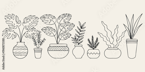 Set of floral illustrations featuring flowers in a garden vase and potted houseplants with green leaves for spring nature decoration.