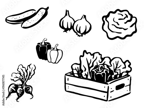 Hand Drawn Vegetable Doodle Icon Set. Fresh Organic Farm Veggies Sketch Collection with Zucchini, Garlic, Pepper, Lettuce and Root Vegetables.