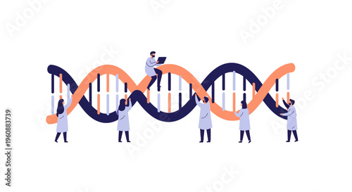 People working on DNA model.