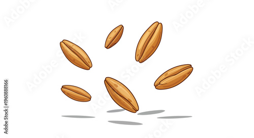 Falling Wheat Grains Isolated on White Background