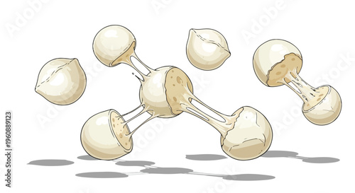 Mozzarella Cheese Balls with Stretchy Melted Texture Illustration