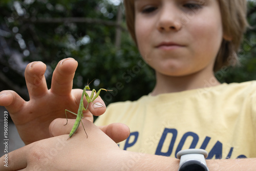 preteen child holds a green praying mantis on his finger, examining the insect with curiosity. The child is interested in zoology and nature. The boy is interested in wildlife and insects