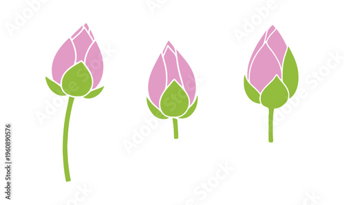 Symbols associated with the lotus flower

