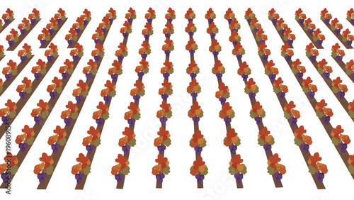 Rows of Small Orange Flowers.