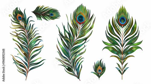 Artistic depiction of peacock feathers in shades of green, blue, and orange, on a white background