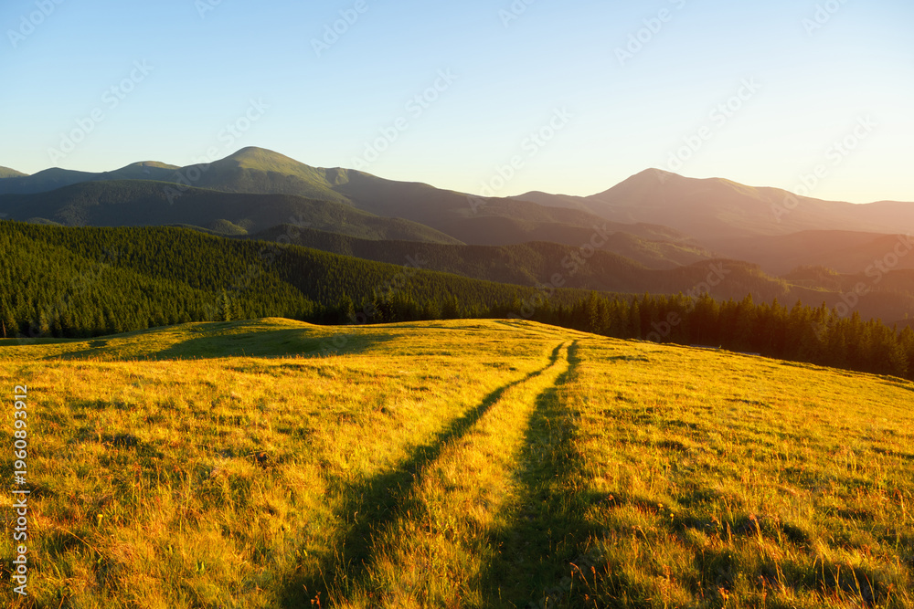 Fototapeta premium Amazing scene in summer mountains with rural road on lush green grassy meadows glowing by fantastic evening sunlight. Landscape photography