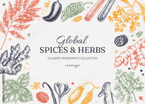 Vintage spices and herbs sketches background. Hand drawn engraving food ingredients frame design in engraved style. NOT AI generated