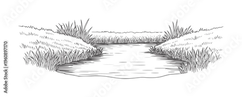 Black and white line of a narrow waterway surrounded by tall grasses lineart blackandwhite