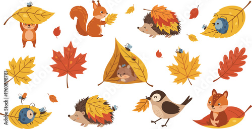 Autumn woodland animals and leaves collection with squirrel, hedgehog, fox and birds, cozy fall nature vector illustration set for seasonal design