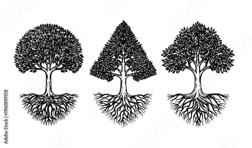 Black and white tree vector set with detailed roots and decorative leaf patterns for nature growth concept