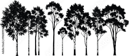 Forest tree silhouettes collection with different species tall trunks and dense foliage black nature vector illustration set