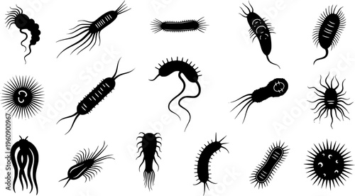 Microscopic Organisms and Marine Plankton Silhouette Collection - Biological Microbe and Protozoa Vector Set