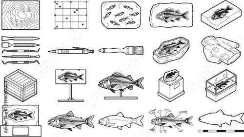 Illustration of paleontology-related items and specimens for educational or scientific purposes, black and white outline.