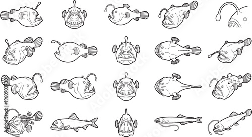 A collection of illustrated anglerfish showcasing unique appearance in various perspectives.