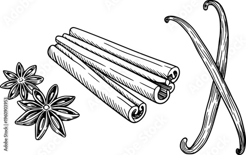 Hand Drawn of Star Anise Cinnamon Sticks and Vanilla Beans White Background spice