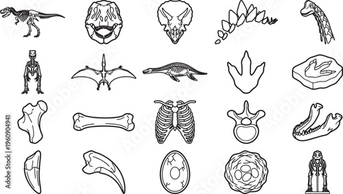 Detailed dinosaur skeleton illustrations showcase the prehistoric era, bringing the past to life. A captivating depiction, ideal for educational or historical content. 