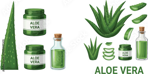 Aloe Vera Plant, Gel, and Extract Bottles for Skincare and Natural Beauty Product Illustrations
