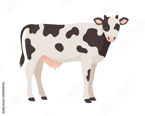 Farm cow character isolated on white background. Vector illustration of domestic animal for agriculture, dairy farming and children education design