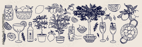 mediterranean citrus grove art, hand drawn lemon tree, lemon orchard illustration, vintage lemon and lime, fruit and nature elements, botanical vector design, simple blue doodles

