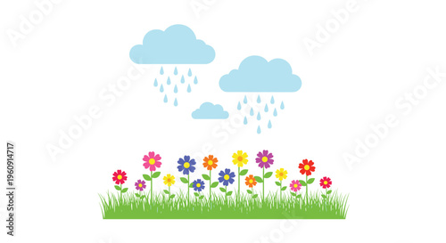 Row of colorful garden flowers growing in green grass under raining blue clouds against a white background for spring time.