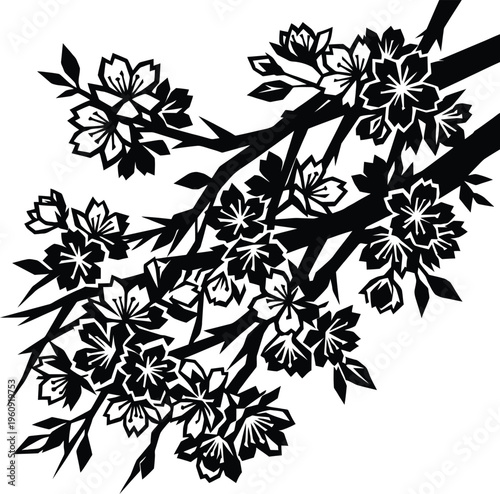 Sophisticated black and white cherry blossom branch silhouette, a vibrant sakura floral structure flawless for spring.