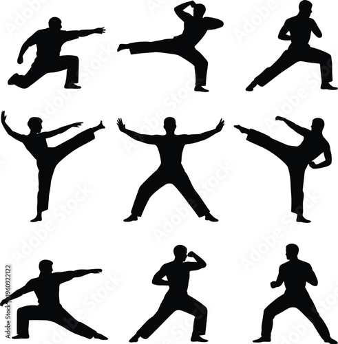Silhouettes of Martial Arts Fighters in Dynamic Poses on White Background