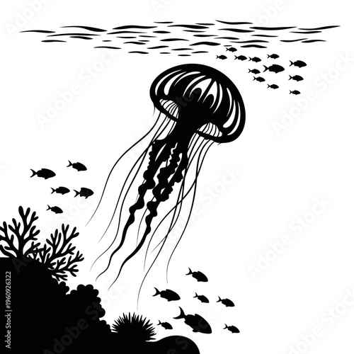 Black and white jellyfish swimming underwater.