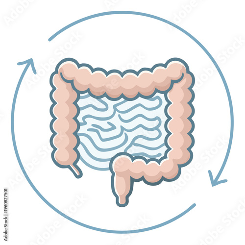 Digestive System Health and Gut Function Illustrated Icon