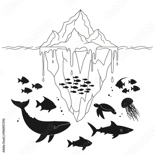 Marine Life Underwater Ocean Creatures.