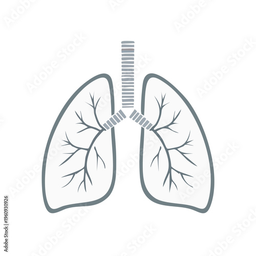 Stylized human lungs and trachea illustration with branching airways