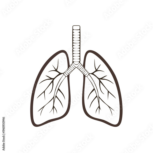 Stylized human lungs and trachea medical illustration outline
