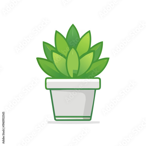 Vibrant green succulent plant growing in a clean white planter pot