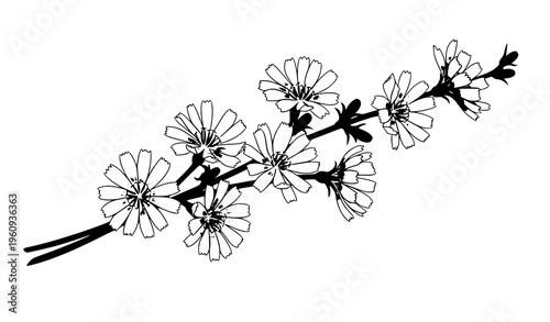 Minimalist black and white tree illustrations with exposed roots and abstract leaf styles vector design
